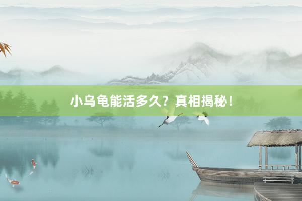 小乌龟能活多久?真相揭秘!